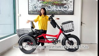 Come in and seeElectric Tricycle Suitable for LongDistance OffRoad Fishing Trips