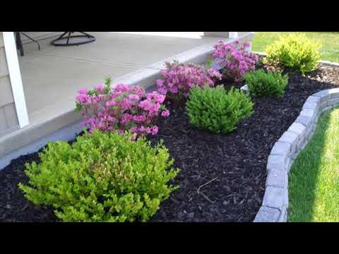 Simple Desert Landscape Ideas