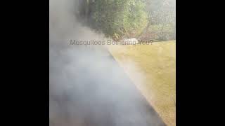 United Pest Singapore - Fogging