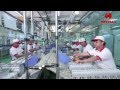 Havells IP Manufacturing Plant Video