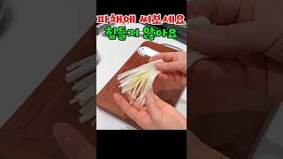 008 파채칼