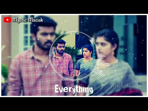 thirumanam-serial-sad-bgm-female-version