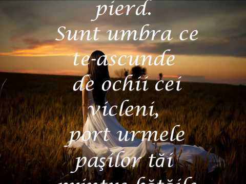 SUNT UMBRA TA