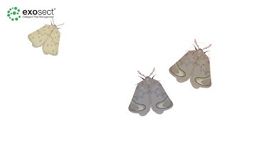 Exosect - Mating Disruption (Full Feature)