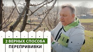 видео: 2 верных способа перепрививки картинка: 2 верных способа перепрививки