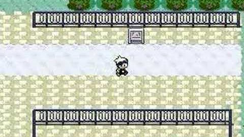 Pokemon Ruby Hack 1