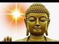 Nhạc niệm Phật | Dịu êm, Tĩnh tâm, giúp ngủ ngon | Nam Mô A Di Đà Phật