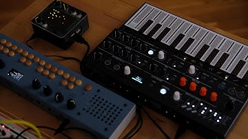 Norns Shield + MicroFreak + Organelle M+ Zoom MS-70CDR and Koma Field Kit FX