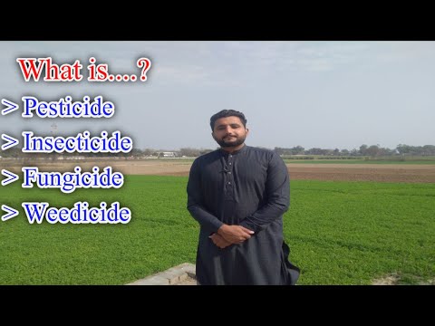What is pesticide,Insecticide,Fungicide,weedicide?