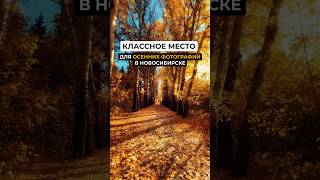 🍂Одно из моих любимых мест в Новосибирске, где красивая осень