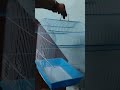 Imported Birds Cage