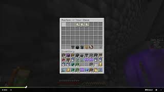 DonutSMP lost 2 elytra bug