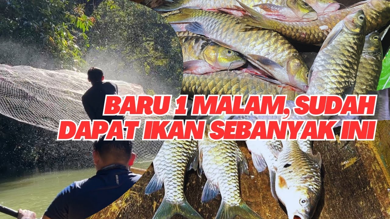 Satu malam tidak cukup kalau sudah berada di lubuk ikan kayangan
