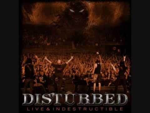 disturbed the curse