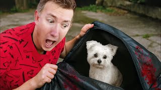 Chad Wild Clay! I Found a Lost Puppy in a Body Bag
