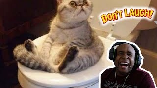 TRY NOT TO LAUGH CHALLENGE #47