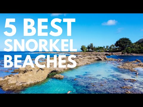 Vídeo: Os melhores pontos de mergulho com snorkel em Oahu