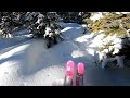 Arapahoe Basin - Lightning Trees