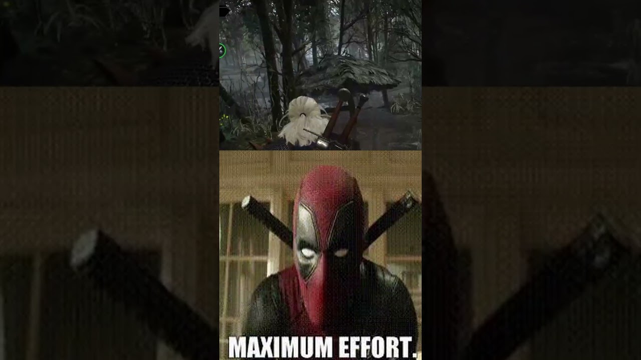 Witcher short