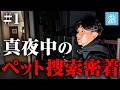 【深夜の捜索】逃げた猫はどこへ…ペット探偵のリアルな一日に密着
