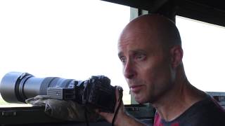 Wildlife Photography- waterbirds and raptors