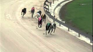 GARDENS-06112015-RACE-4