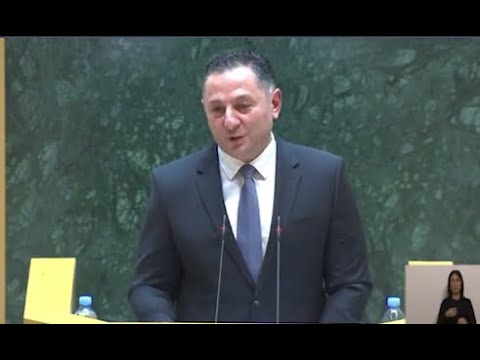 მეც ვყოფილვარ რიგითი სპეცრაზმელი და ძალიან ძნელია ასეთ დროს ნერვების მოთოკვა - გომელურის პასუხები