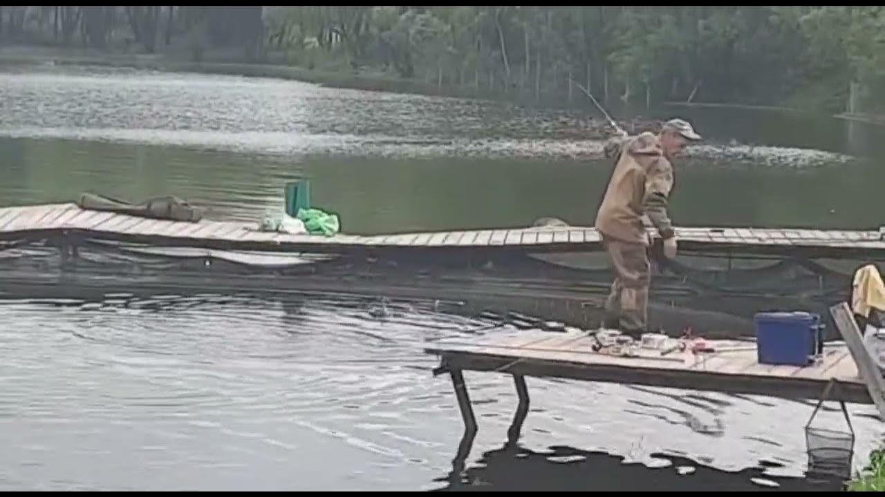 Крх возрождение русфишинг форум. Рыбалка рыбацкий кардон русфишинг. Крх рыбацкий кордон. Крх рыбацкий кордон. Рыбацкий кордон платная рыбалка.