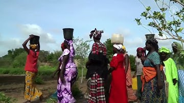 Data in Emergencies information system introductory video