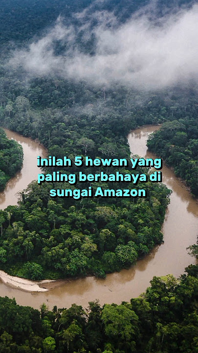 Inilah 5 Hewan Yang Paling Berbahaya Di Sungai Amazon #fakta #faktaunik #faktamenarik
