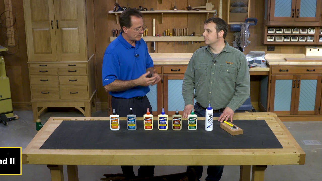 Elmer's School Glue vs Titebond Type I Wood Glue 