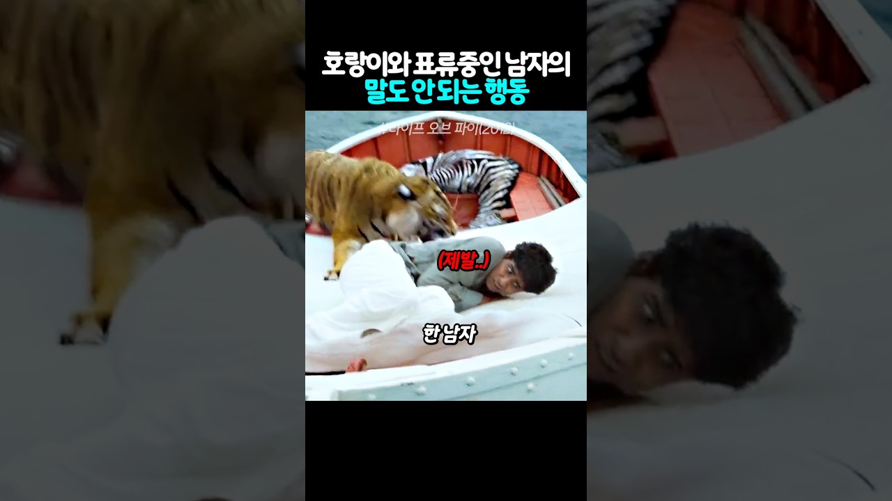 호랑이와 표류중인 남자의 말도 안 되는 행동