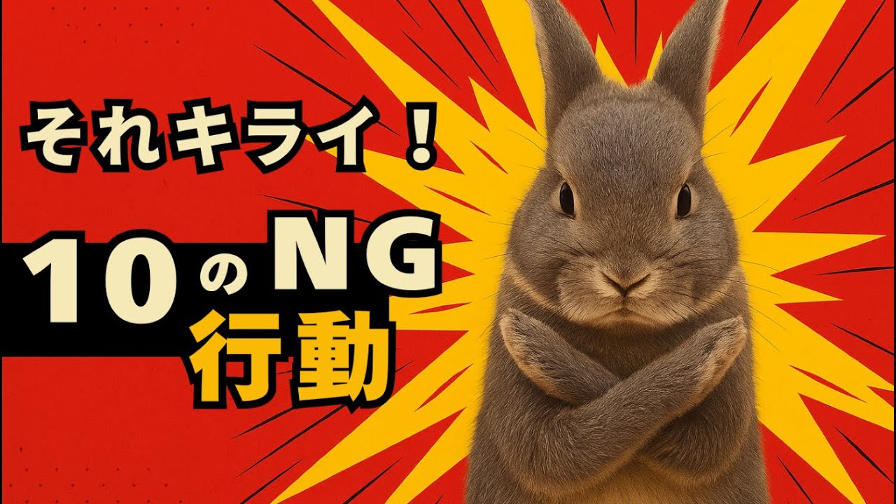 うさぎにやってはいけない10のNG行動｜知らずに嫌われてませんか？ 10 NG behaviors that should not be done to rabbits.