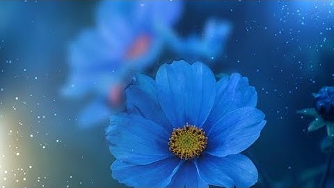 (ص ١١٣ سورة المائدة) - القارئ الشيخ عبد الله بصفر حفظه الله تعالى ...