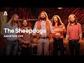 The sheepdogs on audiotree live full session 2