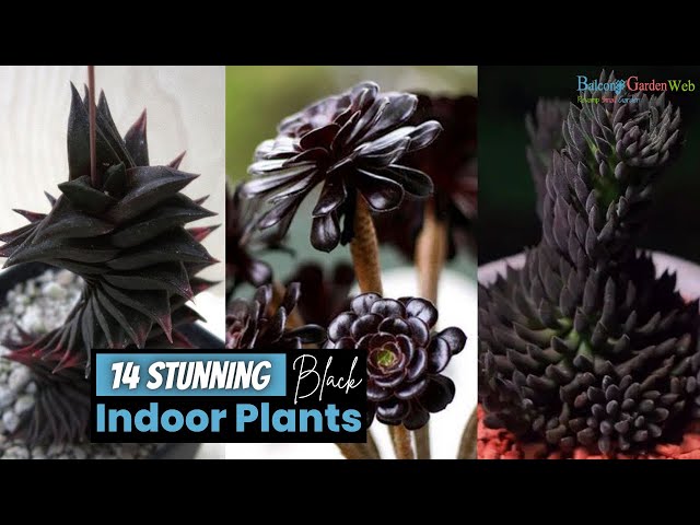 ferm living plant box large cashmere Plant Box: Round main image 1