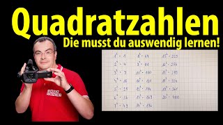 Was sind die Quadratzahlen von 1 bis 20?