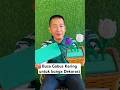 Busa Gabus Kering untuk bunga Dekorasi #busakering #busagabus #busadekorasibunga #busabunga #codin