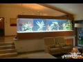 Aneka Model Aquarium / Akuarium Aneka Ikan Hias Youtube : Full setting aquarium ikan hias laut di mulai dengan harga rp.