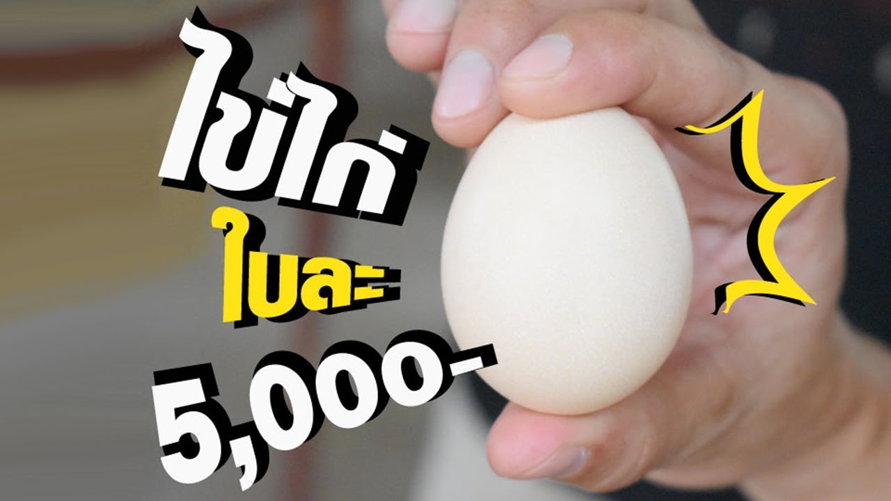 ไข่ไก่ใบละ 5,000