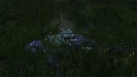DayZ official: caught lacking at Lembork