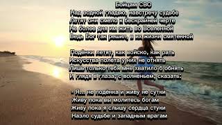 Поденка