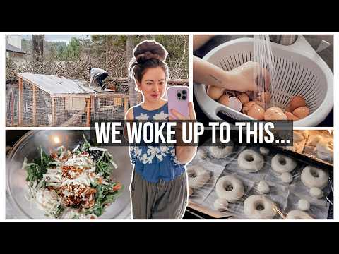 STORM DAMAGE, sourdough donuts & how I’m using egg shells for the garden!!