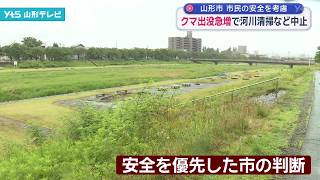 クマ出没急増 山形市の市民行事が相次ぎ中止に