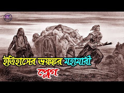 ভিডিও: প্রেরি কুকুরগুলিতে প্লেগ সংক্রমণ