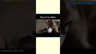 My salary every month 😂..Kab aayi kaha gyi kuch pta nhi