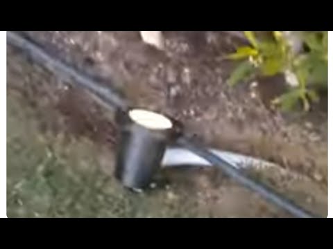 تركيب سبوت حربه فى جنينه