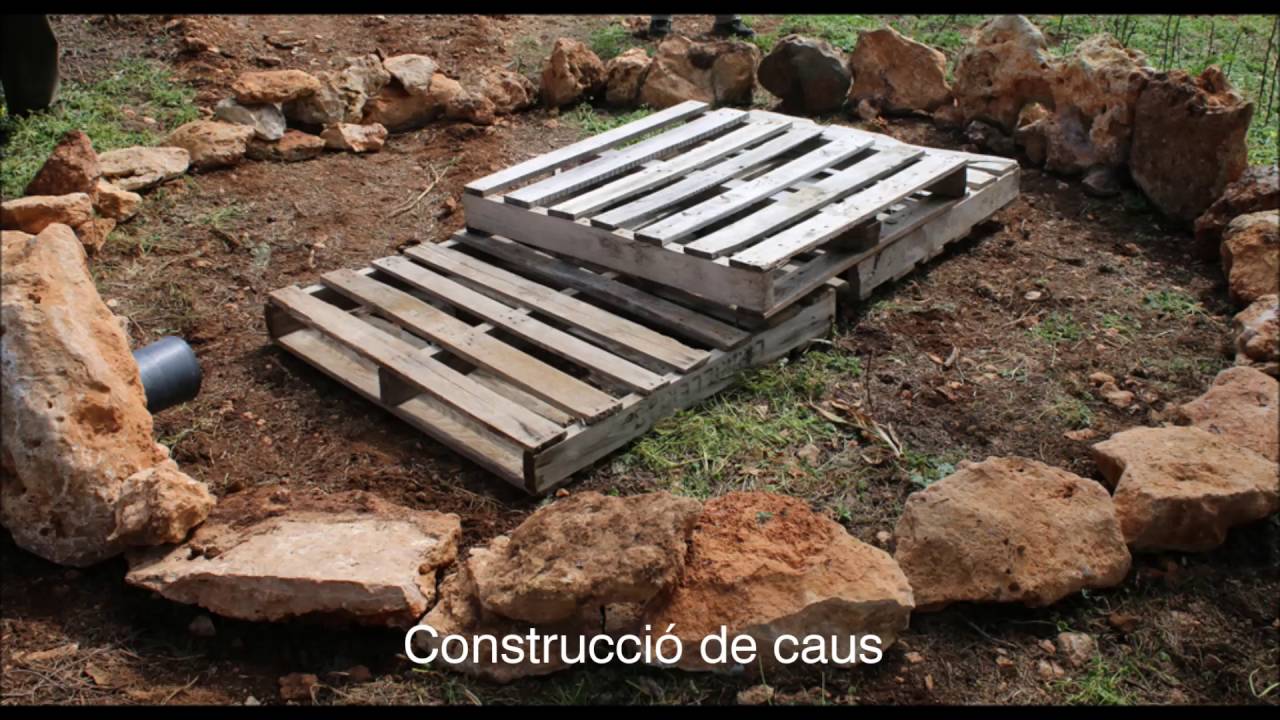 Projecte recuperació conill de camp