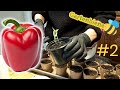 Paprika richtig pikieren – so geht´s | Tutorial #2