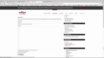 Adyen_Smartpay - Part2 SkinGenerator